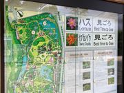 EbL[̌Iь̃nX̓eʐ^1