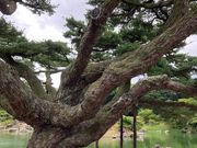 EbL[̌Iь̌ܗt̓eʐ^1