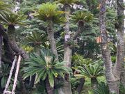 EbL[̌Iь̃\ec̓eʐ^1