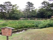 EbL[̌Iь̏Ҋ̓eʐ^1