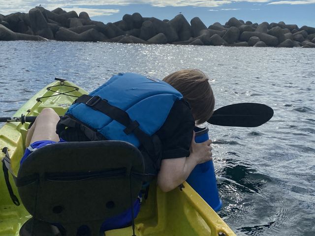 �C�̒������ċ���T���܂���;( '��' )_Green Blue ����