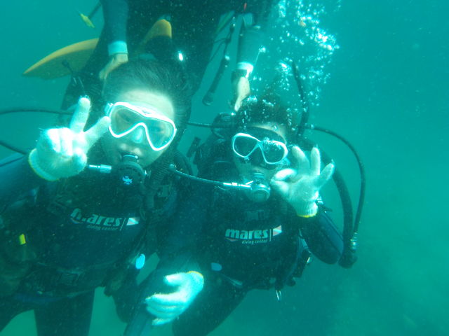 ł̂ЂƃR}_т񂮂ՊC