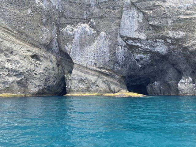 �̓��A_���M�̓��A�@���{�N���[�Y