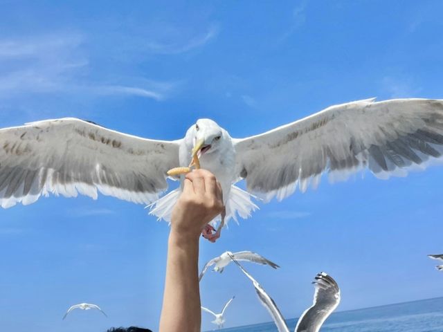 �J�������ԋ�_���M�̓��A�@���{�N���[�Y