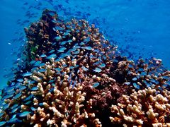 ΂Okinawa tripsւ̓eʐ^2