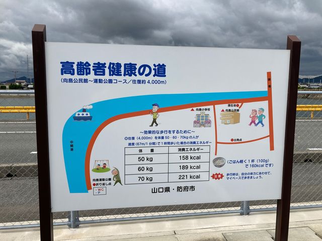 向島_向島