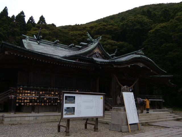 ��t�����Ă����܂����B_���ٔ����{