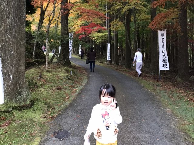 �������̎q_�p�F�R