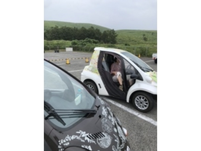 EV�Ԃ̃����^��������Փ������^��_�H�g��J���X�g�W�]��