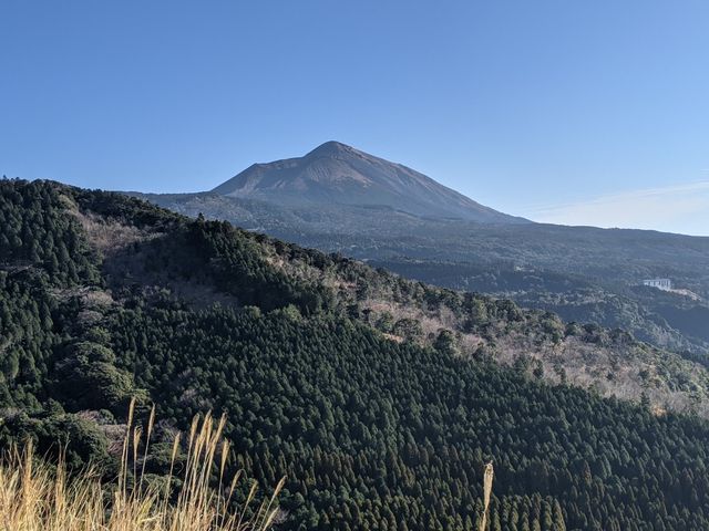 DԂ猩閶AR̕iłB__b̗R