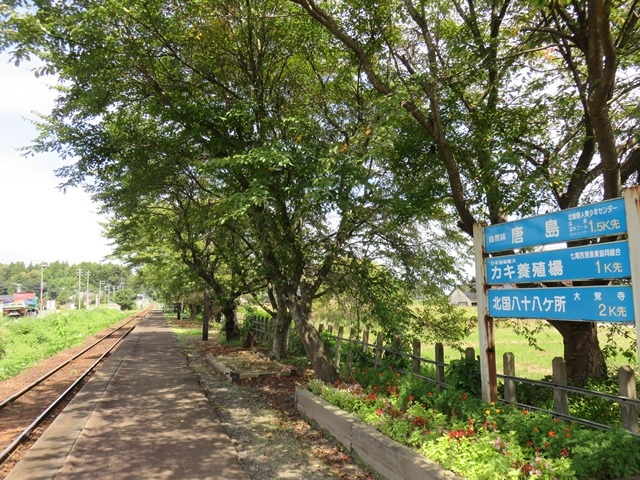 �i�F_�̂ƓS���������