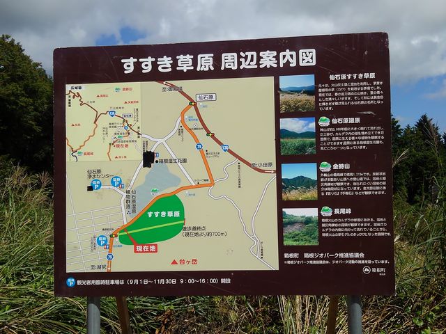 ���������ԉ����ʂ�]��_��Ό�����