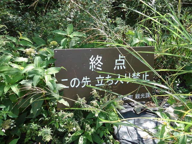 ���邢�F�ʂ́@�������������f�G�ł���(^^)_��Ό�����