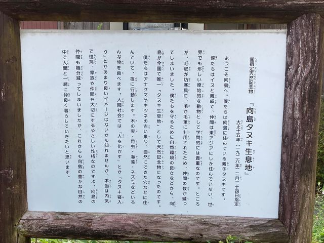 向島_向島
