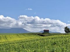 TCNOcA[/Xm[V[cA[т̃KCh̎ʐ^1