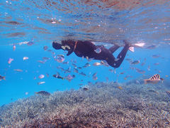 CVѐlTHE SCENEւ̓eʐ^1