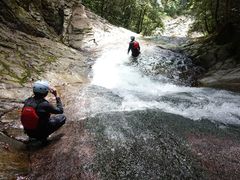 Ŵ܂́EVѕւ̓eʐ^1