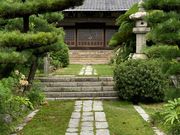 �E�b�L�[����̐������̓��e�ʐ^1