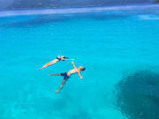 CVѐlTHE SCENE̓eʐ^2