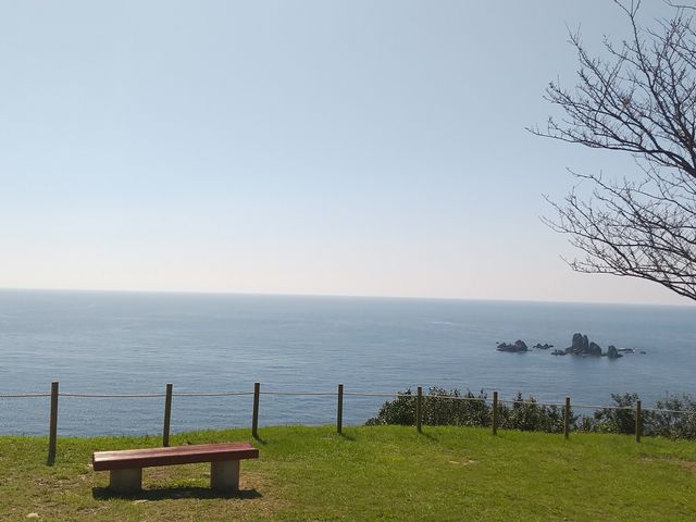 ��T����̑�P���C���P���̓��e�ʐ^1