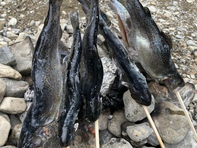 7�{�Ă��Ă��̏�ŐH�ׂ܂����I_�k��쉶���܂��ޏ�