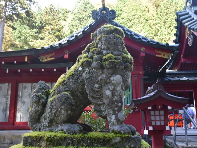 苔むした狛犬_箱根神社