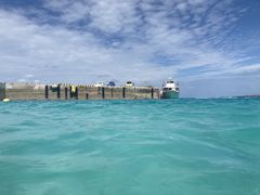 ݂񂳂̉AChN[ւ̓eʐ^1