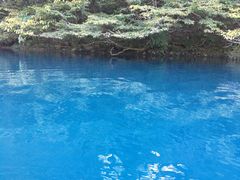 Ƃ̃hbv@AEghAKChT[rXւ̓eʐ^1