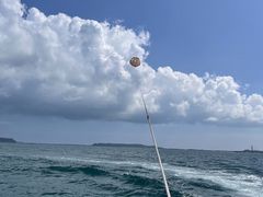 ���ނ�����̊�����Ѓu���[���O�[���I�L�i���ւ̓��e�ʐ^1