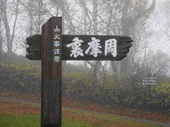 �m���@�������E�G�l�E�T���݂ǂ�̎ʐ^2