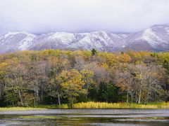 �m���@�������E�G�l�E�T���݂ǂ�̎ʐ^4