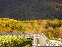 �m���@�������E�G�l�E�T���݂ǂ�̎ʐ^5