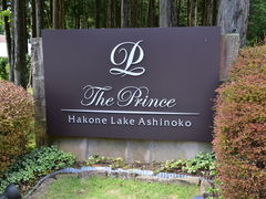 O`̃UEvX@m΂ւ̓eʐ^1