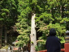 Ȃۂ񂳂̓܂cA[ւ̓eʐ^1