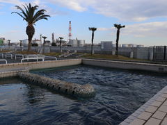 YanwenlïtLOւ̓eʐ^4