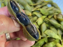 ܂ǂ̐V񂾔_ȉւ̓eʐ^1