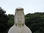 �������̗�R�ω��̓��e�ʐ^2