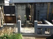 �Ё[����񂳂�̊֍F�a�̕�̓��e�ʐ^2