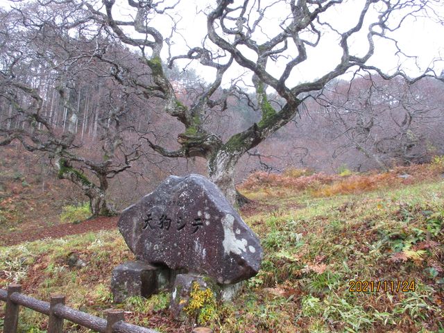 �e���O�V�f�Q��