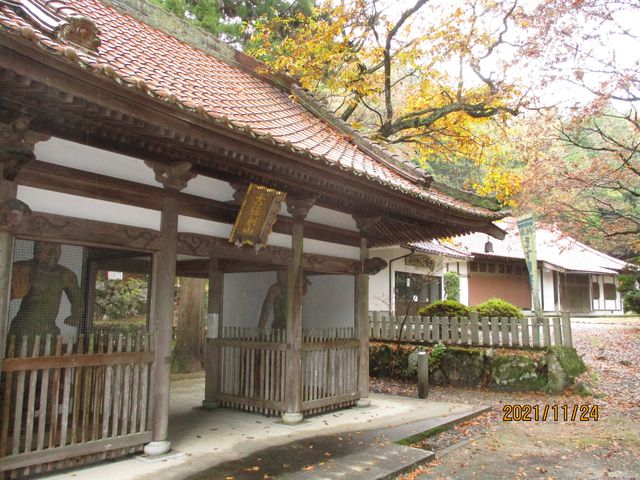 �Õۗ���t������