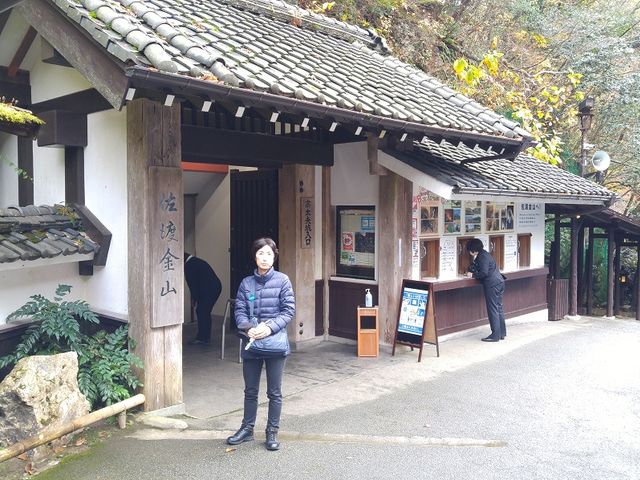 �g�@���v�B�h�̓���_���n���R���