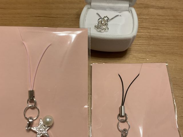 l̐^͖p̃lbNXɁAƖ̐^͂̃Xgbvɂ܂_Od^