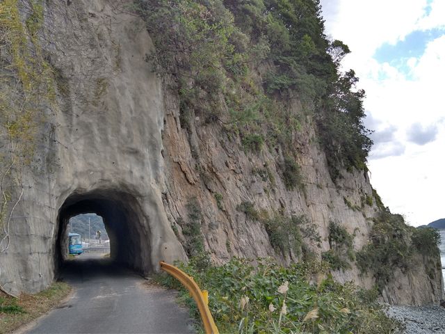 �����߂��ɂ͂���ȂƂ��������܂��B_�y���싴��