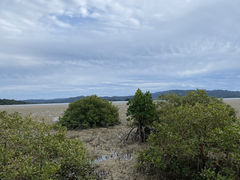 ݂̉nGRc[lbgւ̓eʐ^1