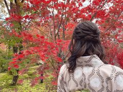 ܂߂炳̋s^ Ȃłւ̓eʐ^1