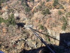 Tu񂳂̋S{|݋ւ̓eʐ^1