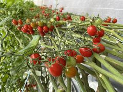 肳̂ǂEEH[^[Et@[ւ̓eʐ^1