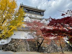 4l̂[񂳂̏qւ̓eʐ^1