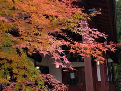 sakky̖̗@tďH~ւ̓eʐ^1