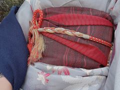 Ђ񂳂̋s^ Ȃłւ̓eʐ^1